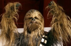 Man arrested in Chewbacca costume, can't pay fine as his "intergalactic bank has no branch on earth"
