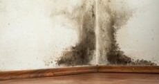 'I've lived in a house with mould, damp and sewage, until I said, no more'