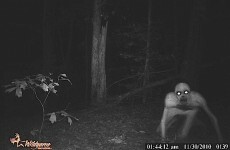 9 of the spookiest stories on the internet