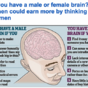 Everyone is highly sceptical of this Daily Mail article on 'male' and 'female' brains