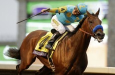 The best racehorse in the world, American Pharoah, did it again this evening