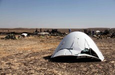 Metrojet chief: Sinai plane crash was not caused by technical fault