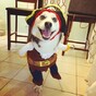 19 things that will make you smile instantly