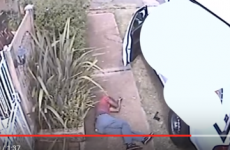 Policemen in South Africa arrested after allegedly appearing on video shooting suspect dead