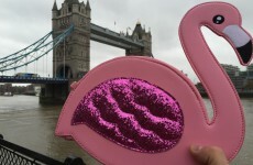 This guy went travelling with a pink flamingo bag, all to cheer up a stranger's girlfriend