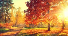 October was the driest in five years and broke sunshine records