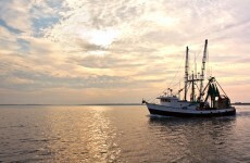 Exploitation on trawlers: Ministers were aware of illegal worker claims two years ago