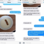 The 15 most excellent fails of 2015