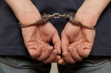 Gardaí monitoring sex offenders "with both hands tied", TD claims