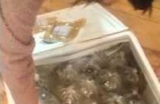 This woman ordered a table from eBay, but got 40 bags of fish instead