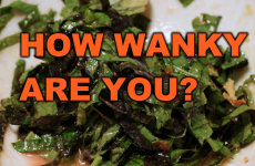 How Wanky Are You?