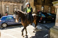 Hi-ho silver lining as horse punched by Newcastle fan earns promotion