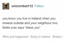 17 times Irish Tumblr was right on the money