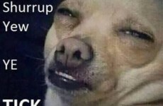 Shurrup Yew Ye Tick is the triumphant Irish meme of 2015