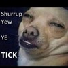 Shurrup Yew Ye Tick is the triumphant Irish meme of 2015