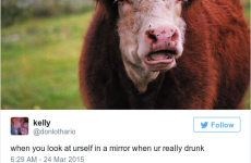 15 hilarious tweets about drinking that everyone can relate to