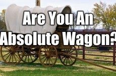 Are You An Absolute Wagon?