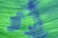 Fallen trees blocking roads after turbulent night with Storm Abigail