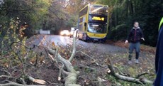 Storm Barney is ripping down trees and creating travel chaos all over Ireland