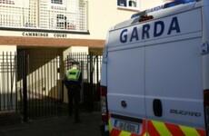 Woman found guilty of murdering 'mentally challenged' 63-year-old in Ringsend