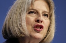 Cat flap: UK Home Secretary criticised over migrant cat story