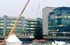 This massive 50ft Christmas tree just went up in Dublin