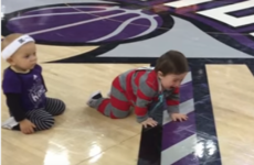 Take a break and watch basketball fans try to make these babies race