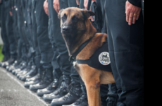 People have been honouring the police dog killed in yesterday's Paris raid