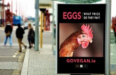 This is what all those vegan posters popping up are all about