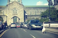 19 of the most Galway things that ever happened