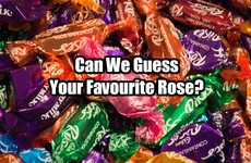 Can We Guess Your Favourite Rose?