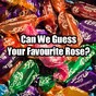 Can We Guess Your Favourite Rose?