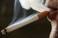 Smoking could lead to 40 million TB deaths by 2050
