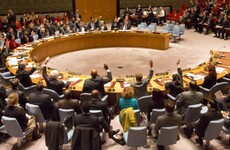 Ireland offers support as UN unanimously approves 'all necessary measures' against IS