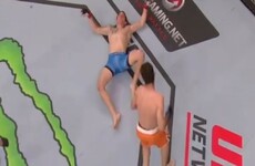 There were some big KO finishes on last night's UFC card