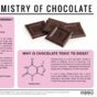 15 pretty decent facts about household foods and spices