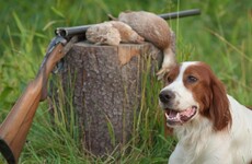 A man in France has been shot by his dog
