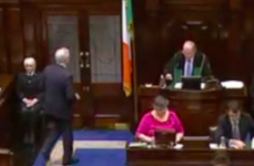 Peter Mathews has just been kicked out of the Dáil again