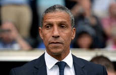 Brighton boss Hughton expresses interest in wanted man Towell