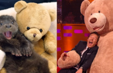 Benedict Cumberbatch posed like an otter and punched a teddy bear on Graham Norton last night