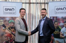 Limerick hurler replaces Donal Óg as GPA chairman