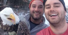 Two lads rescued a massive eagle and took the greatest selfie