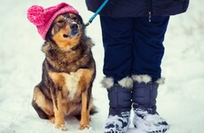Three weather warnings issued for snow-ice, rain and wind