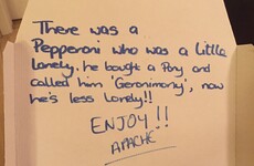Apache Pizza delivered the cutest poem on a pizza box at the weekend