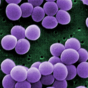 This superbug is on the rise in Irish hospitals