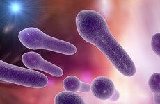 'Unclean, brown-stained' commodes increase risk of contracting superbug at Tallaght Hospital