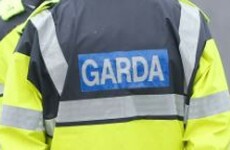 Man killed in late night crash was off-duty garda