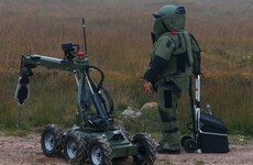 Viable bombs found buried in ground near Limerick village