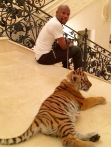 Floyd Mayweather now owns a baby tiger