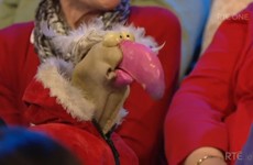 Dustin the Turkey tried to shift a member of the audience on the Late Late